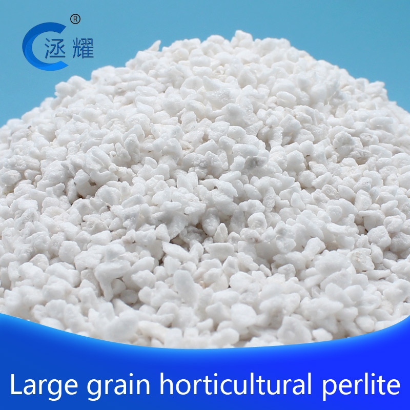 Large grain horticultural perlite